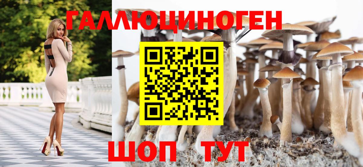 Галлюциногенные грибы MAGIC MUSHROOMS  Вход с VPN  Семёнов 