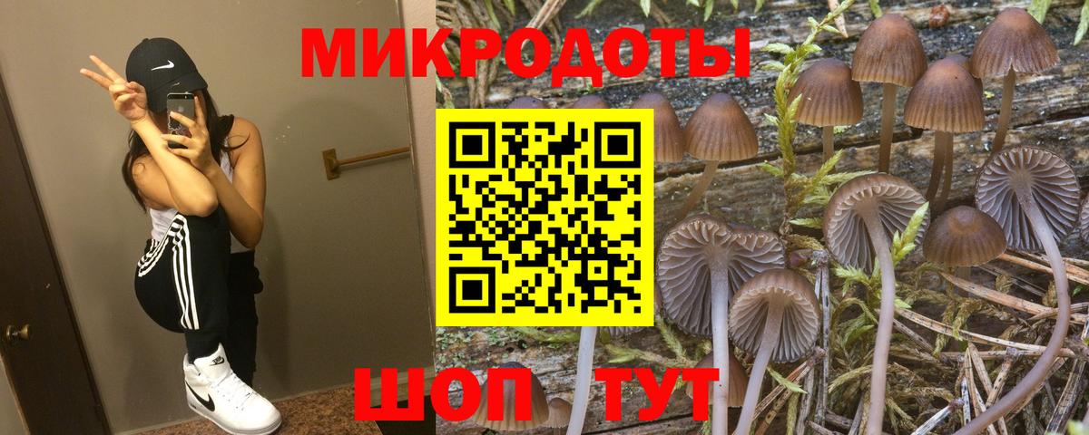 Галлюциногенные грибы прущие грибы Семёнов